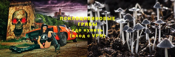 прущий лед Алексин
