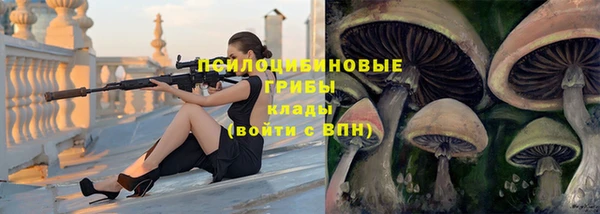 ECSTASY Абаза