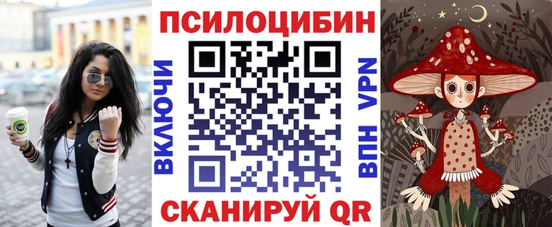 купить закладку  Тольятти  Псилоцибиновые грибы Psilocybe 